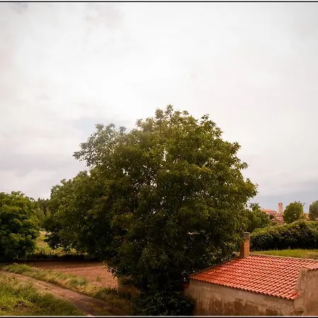 Molino Bajo Monreal del Campo