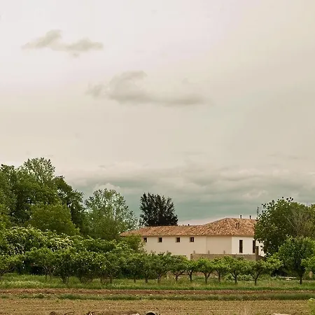Molino Bajo 2* Monreal del Campo