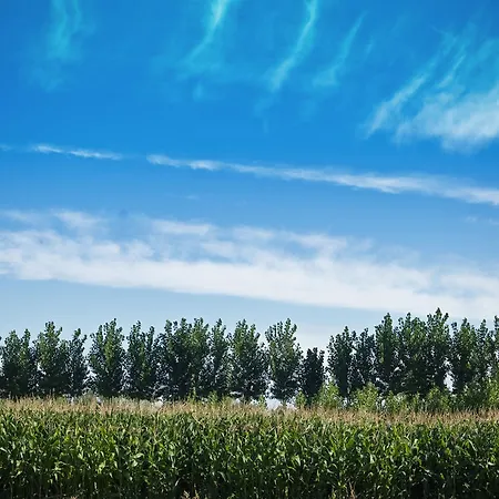 Molino Bajo Hotel 2*