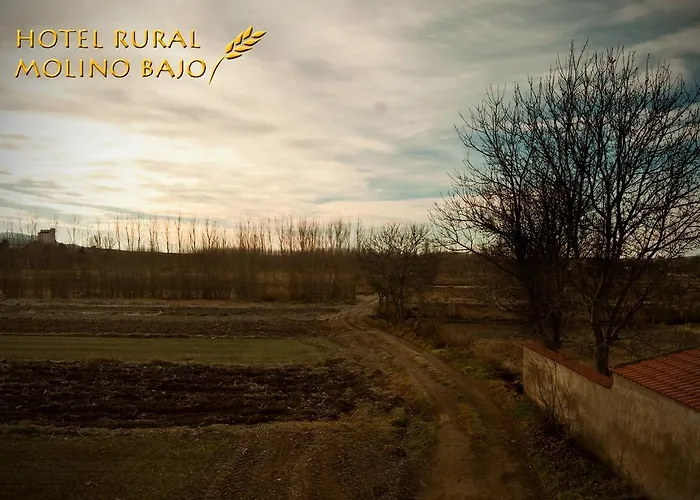Molino Bajo 2* Monreal del Campo