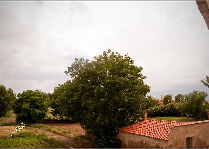 Molino Bajo Monreal del Campo
