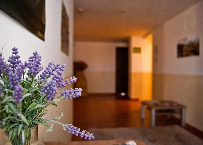 Molino Bajo Hotell Monreal del Campo