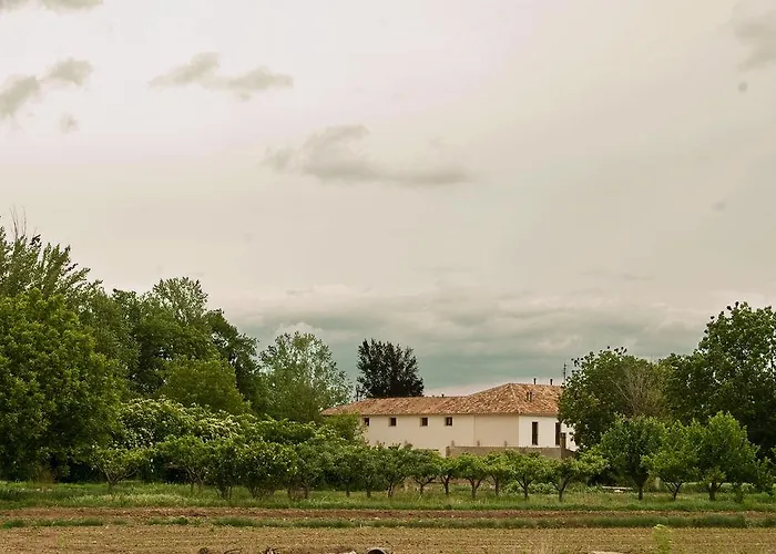 Molino Bajo 2* Monreal del Campo