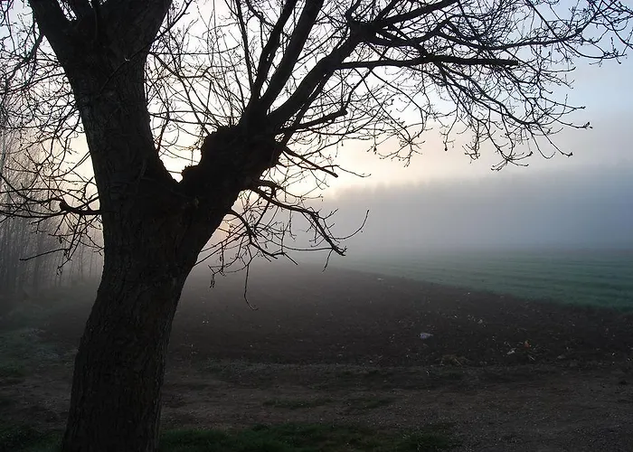 Molino Bajo Hotell Monreal del Campo